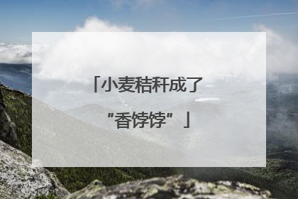 小麦秸秆成了“香饽饽”