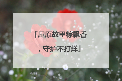 屈原故里粽飘香，守护不打烊