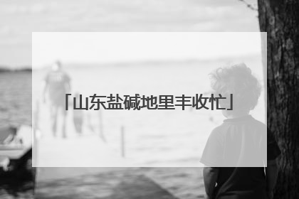 山东盐碱地里丰收忙