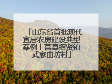 山东省首批现代宜居农房建设典型案例丨莒县招贤镇武家曲坊村
