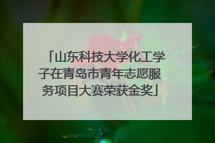 山东科技大学化工学子在青岛市青年志愿服务项目大赛荣获金奖
