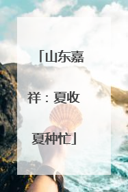 山东嘉祥：夏收夏种忙