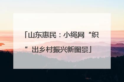 山东惠民：小绳网“织”出乡村振兴新图景