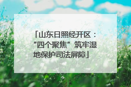 山东日照经开区：“四个聚焦”筑牢湿地保护司法屏障