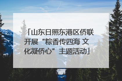山东日照东港区侨联开展“粽香传四海 文化凝侨心”主题活动