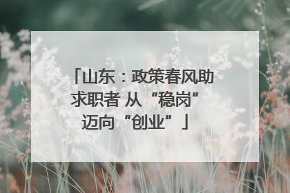 山东：政策春风助求职者 从“稳岗”迈向“创业”