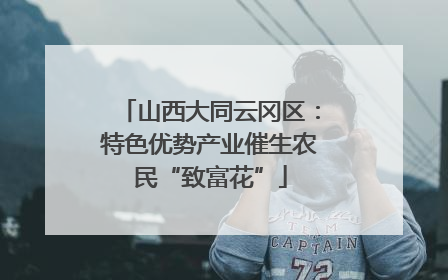 山西大同云冈区：特色优势产业催生农民“致富花”