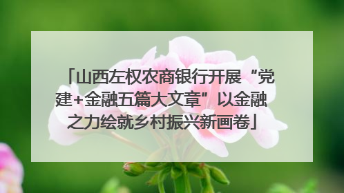 山西左权农商银行开展“党建+金融五篇大文章”以金融之力绘就乡村振兴新画卷