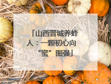 山西晋城养蜂人：一颗初心向“蜜”图强