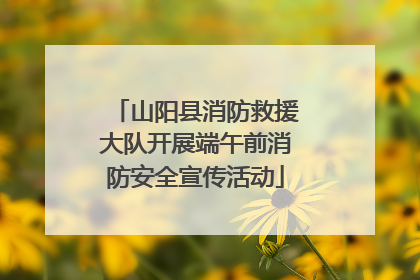 山阳县消防救援大队开展端午前消防安全宣传活动