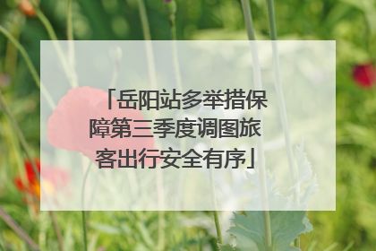 岳阳站多举措保障第三季度调图旅客出行安全有序