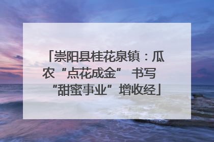 崇阳县桂花泉镇：瓜农“点花成金” 书写“甜蜜事业”增收经