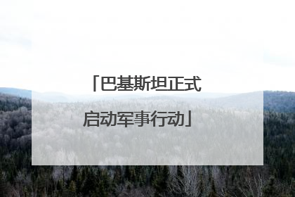 巴基斯坦正式启动军事行动