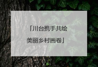 川台携手共绘美丽乡村画卷