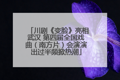 川剧《变脸》亮相武汉 第四届全国戏曲（南方片）会演演出过半频掀热潮