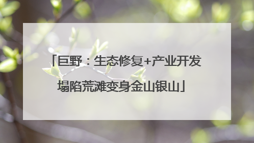 巨野：生态修复+产业开发 塌陷荒滩变身金山银山