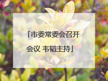 市委常委会召开会议 韦韬主持