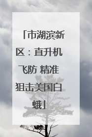 市湖滨新区：直升机飞防 精准狙击美国白蛾