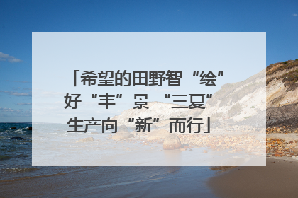 希望的田野智“绘”好“丰”景 “三夏”生产向“新”而行