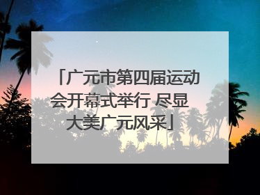 广元市第四届运动会开幕式举行 尽显大美广元风采