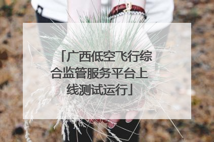 广西低空飞行综合监管服务平台上线测试运行