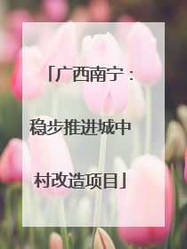 广西南宁：稳步推进城中村改造项目