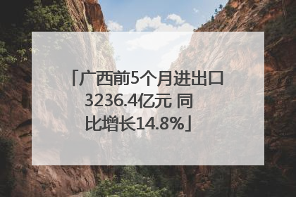 广西前5个月进出口3236.4亿元 同比增长14.8%