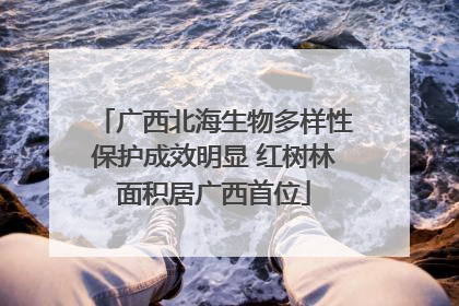 广西北海生物多样性保护成效明显 红树林面积居广西首位