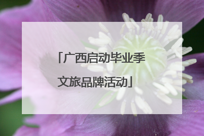 广西启动毕业季文旅品牌活动