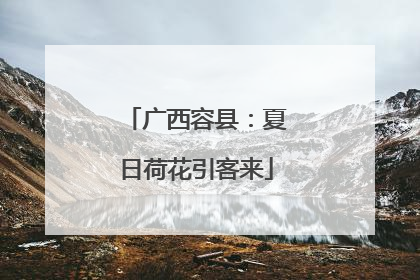 广西容县：夏日荷花引客来