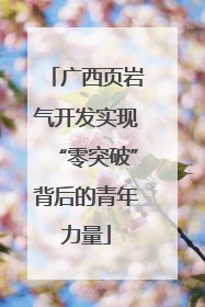 广西页岩气开发实现“零突破”背后的青年力量