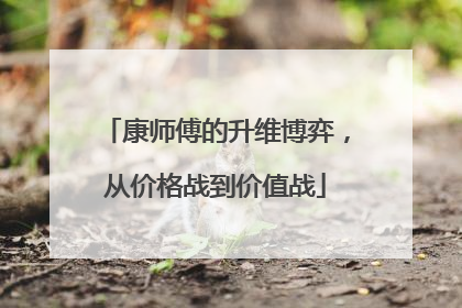 康师傅的升维博弈，从价格战到价值战