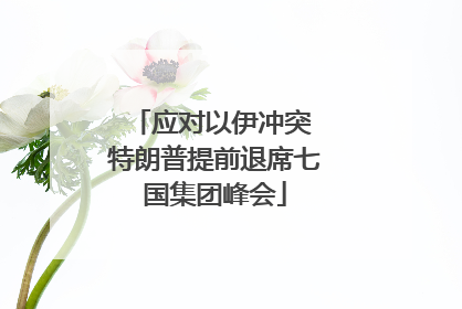 应对以伊冲突 特朗普提前退席七国集团峰会