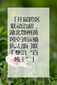 开展跨区联动治超，湖北鄂州黄冈交通运输执法部门联手整治“百吨王”