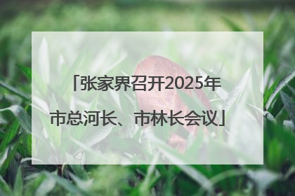 张家界召开2025年市总河长、市林长会议