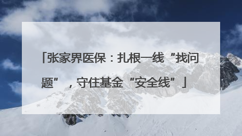 张家界医保：扎根一线“找问题”，守住基金“安全线”