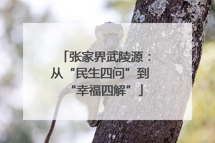 张家界武陵源：从“民生四问”到“幸福四解”