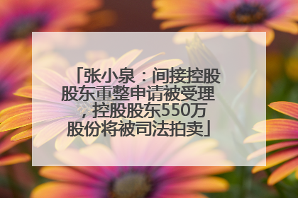 张小泉：间接控股股东重整申请被受理，控股股东550万股份将被司法拍卖