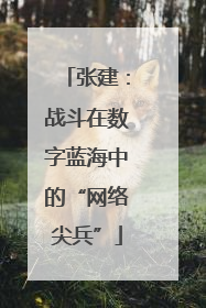 张建：战斗在数字蓝海中的“网络尖兵”