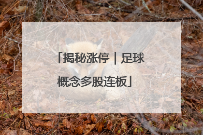 揭秘涨停｜足球概念多股连板