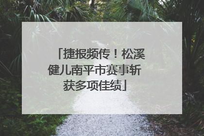 捷报频传！松溪健儿南平市赛事斩获多项佳绩