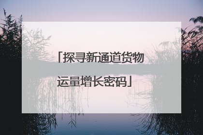探寻新通道货物运量增长密码