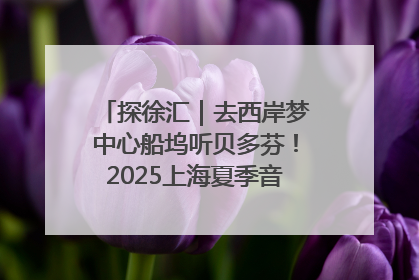 探徐汇｜去西岸梦中心船坞听贝多芬！2025上海夏季音乐节公布节目阵容