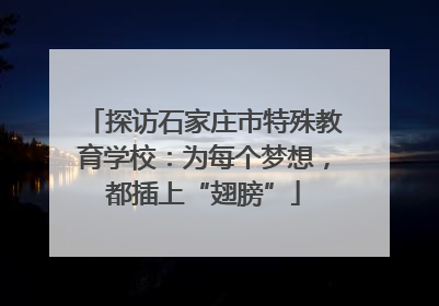 探访石家庄市特殊教育学校：为每个梦想，都插上“翅膀”