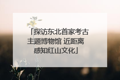 探访东北首家考古主题博物馆 近距离感知红山文化