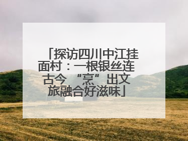 探访四川中江挂面村：一根银丝连古今 “烹”出文旅融合好滋味