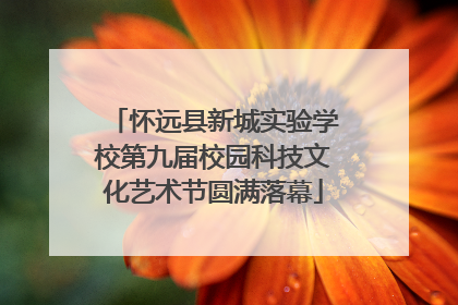 怀远县新城实验学校第九届校园科技文化艺术节圆满落幕