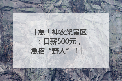 急！神农架景区：日薪500元，急招“野人”！