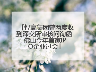 悍高集团曾两度收到深交所审核问询函 佛山今年首家IPO企业过会