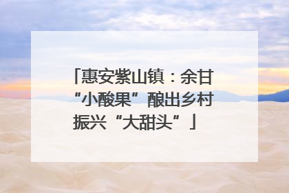 惠安紫山镇：余甘“小酸果”酿出乡村振兴“大甜头”